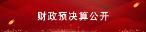財(cái)政預(yù)決算
